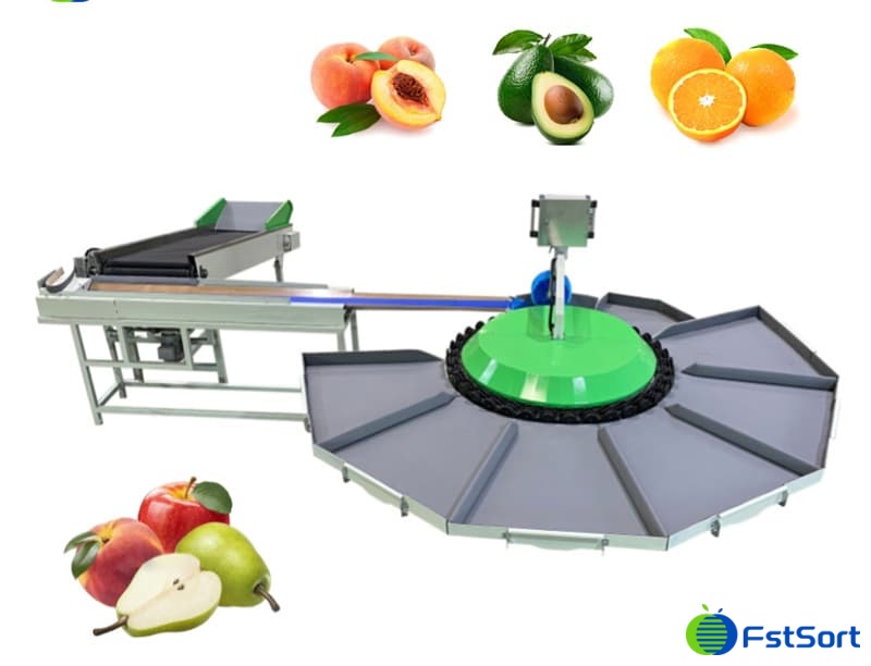 images/1672734068605PEAR GRADER.jpg